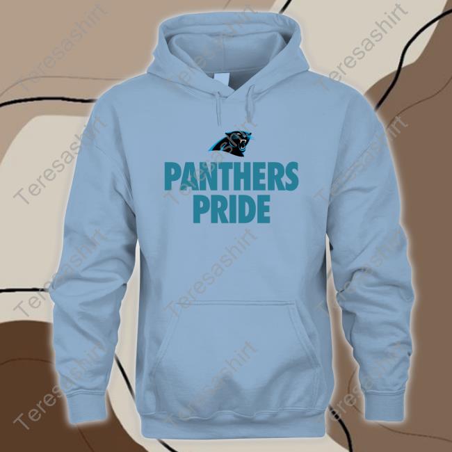 Carolina Panthers Hometown Collection Pride Hoodies